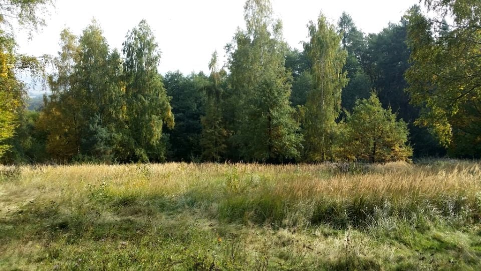 Działka rolna Strzegomiany sprzedam
