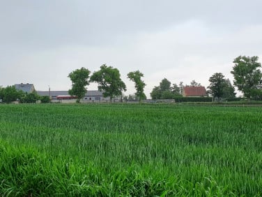 Działka budowlana Łagiewniki