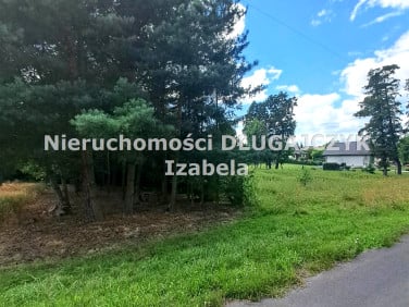 Działka rolna Warszowice