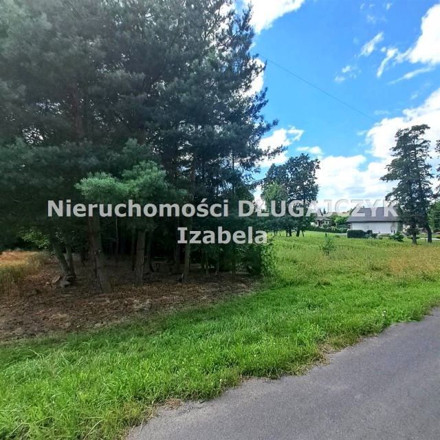 Działka rolna Warszowice