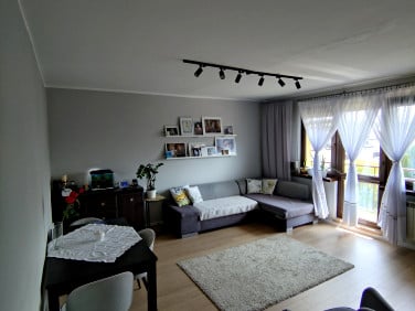 Mieszkanie przy lesie
