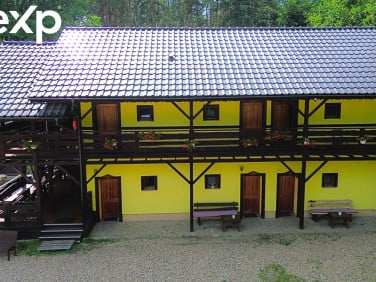 Lokal Rokitki
