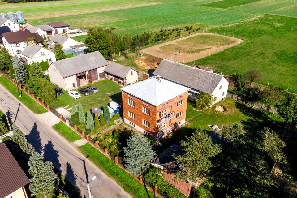 Zdjęcie 2
