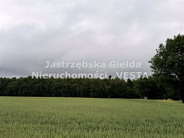 Działka rolna Jastrzębie-Zdrój