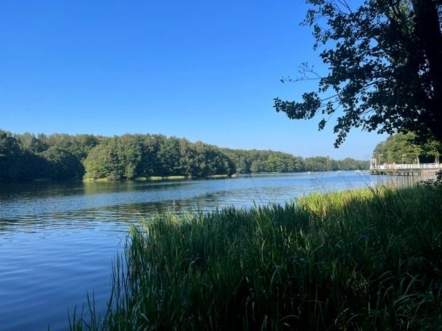Działka budowlana Czapielsk