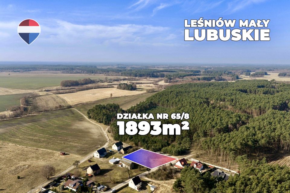 Zdjęcie 3