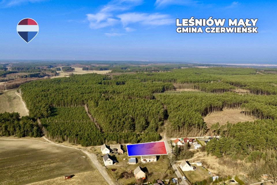 Zdjęcie 2
