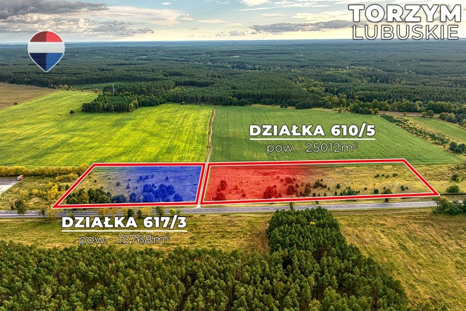Działka rolna Torzym