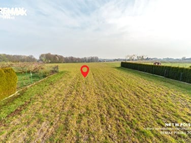 Działka budowlana Pisarzowice