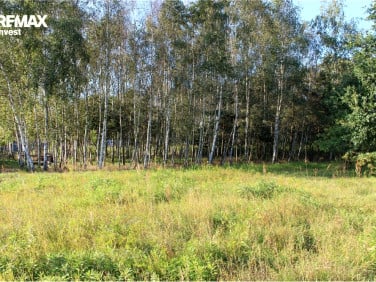 Działka Olszyny