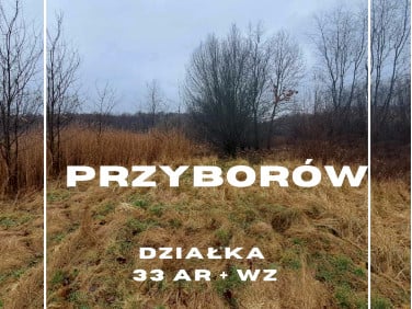 Zalesiona działka Przyborów