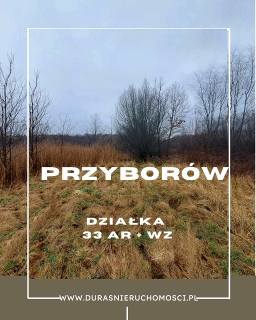 Zalesiona działka Przyborów