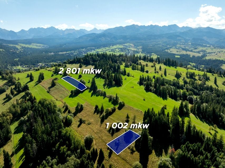 Zdjęcie 3