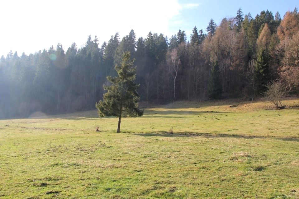 Działka budowlano-rolna Grywałd
