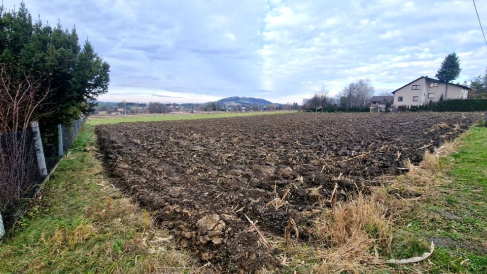 Zdjęcie 3