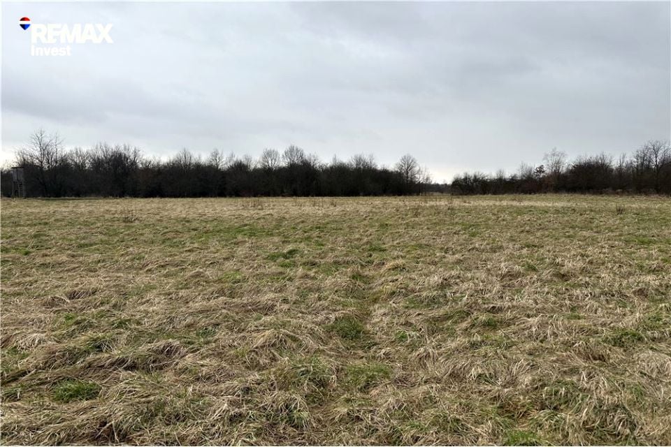 Działka Jankowice