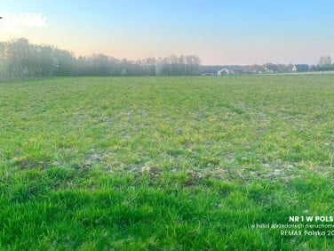 Działka budowlana Pisarzowice