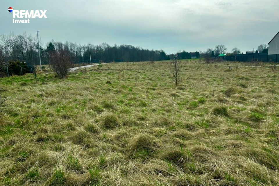 Zdjęcie 3