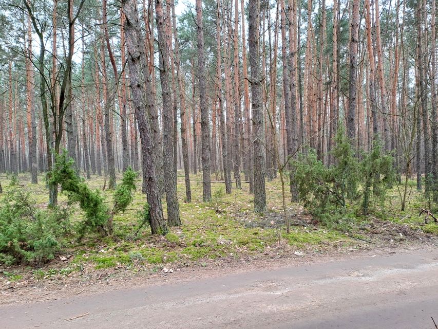 Zdjęcie 3