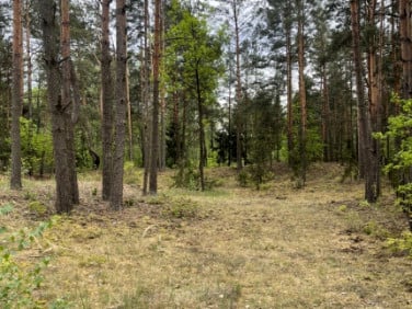 Działka budowlana Radzymin