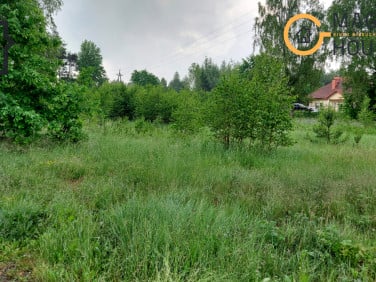 Działka nad jeziorem