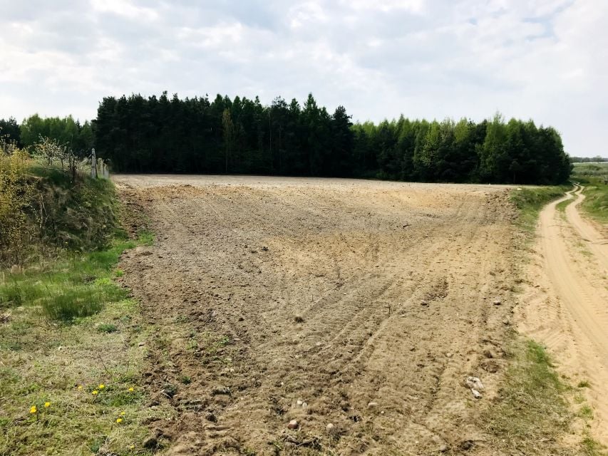 Działka rolna Skarbkowa