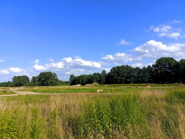Działka usługowa Katowice sprzedam