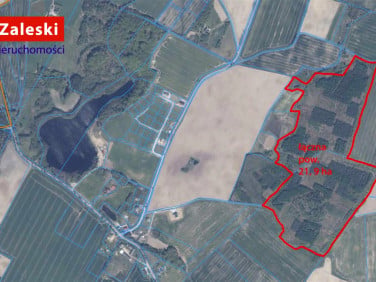 Działka Szczodrowo