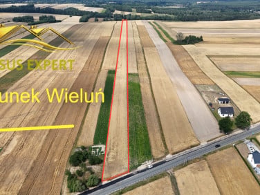 Działka rolna Przywóz