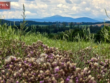 Działka budowlana Jabłów