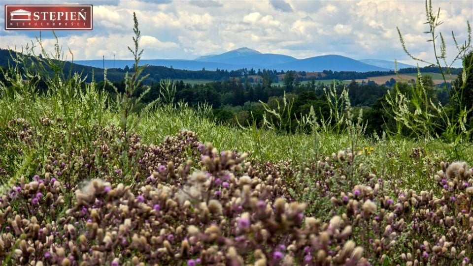 Działka budowlana Jabłów