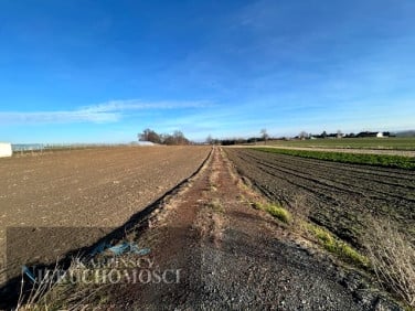 Działka Racibórz