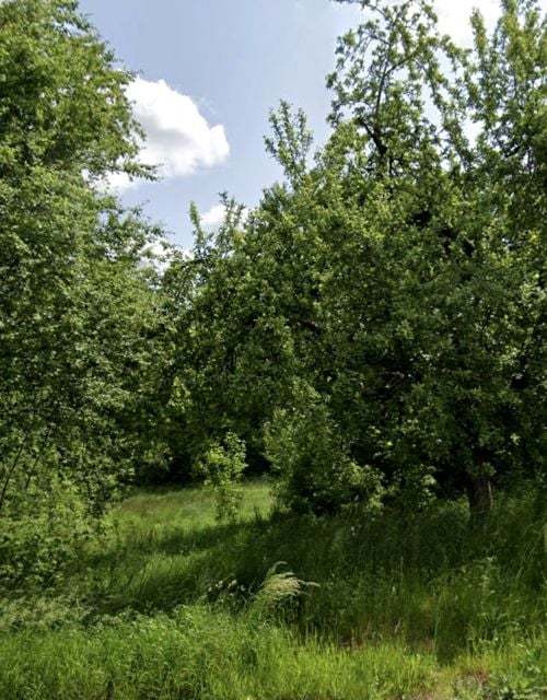Działka rolno-leśna Oronne
