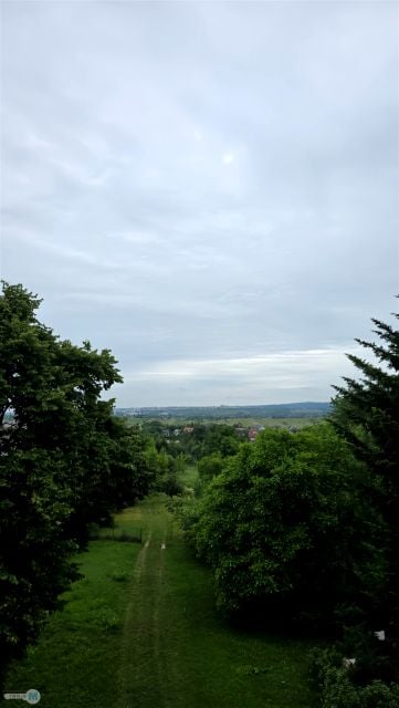Zdjęcie 3