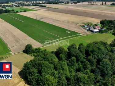Działka siedliskowa Krępa Kaszubska