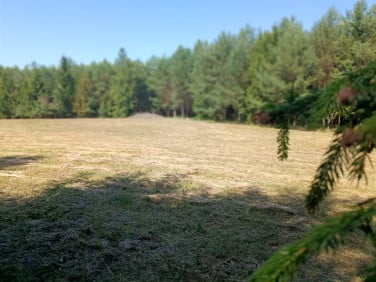 Działka budowlano-rolna Ciche