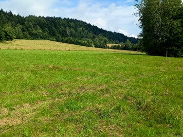 Działka rekreacyjna Daliowa