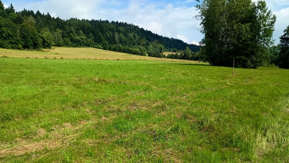 Działka rekreacyjna Daliowa