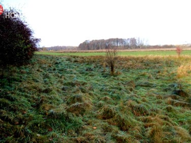 Działka inwestycyjna Mierzyno