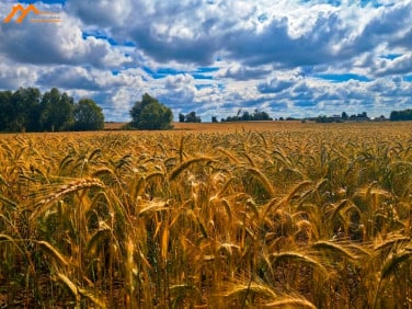 Działka rolna Głazów