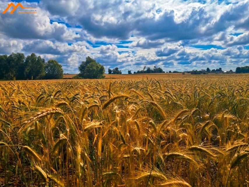 Działka rolna Głazów