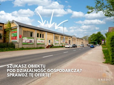 Lokal Koszalin