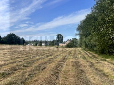 Działka budowlana Tatynia