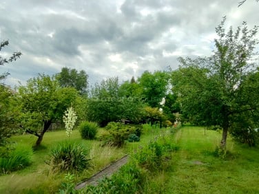 Działka Rybnik