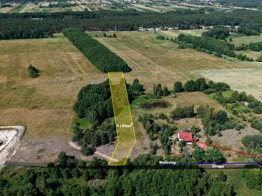 Działka Radziwiłka