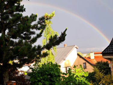Mieszkanie Świdnica