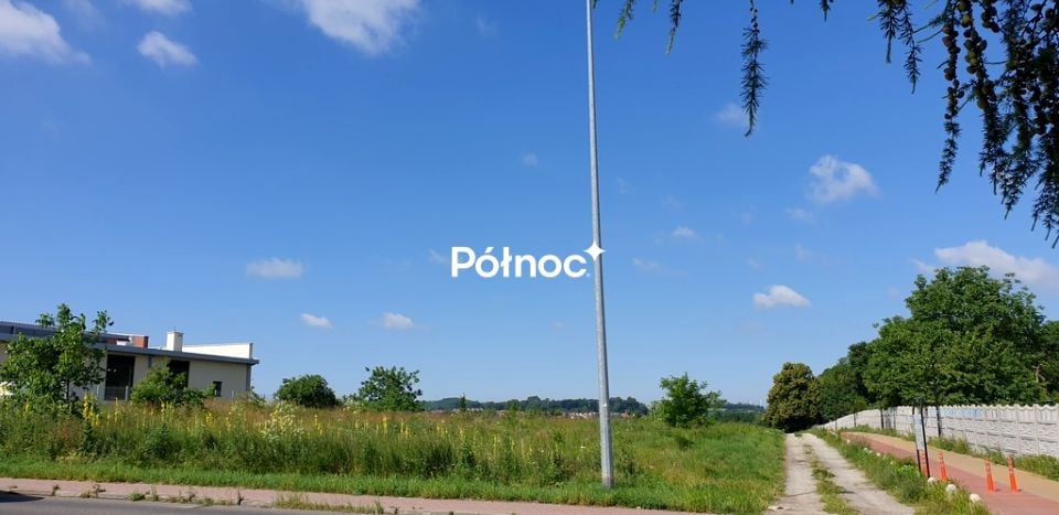 Zdjęcie 3