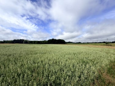 Działka Wierzchucino