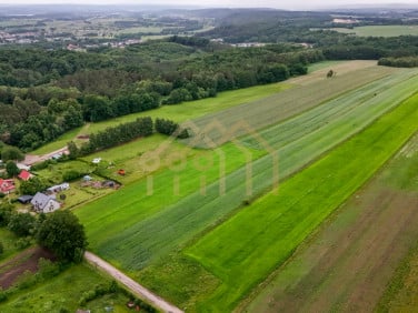 Działka rolna Kaczkowo