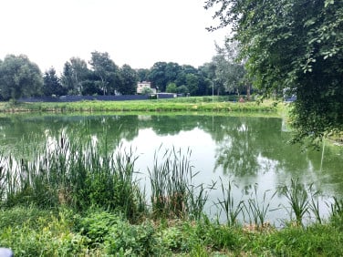 Działka inna Rożnowo